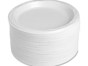 Disposable Plates (per 100)